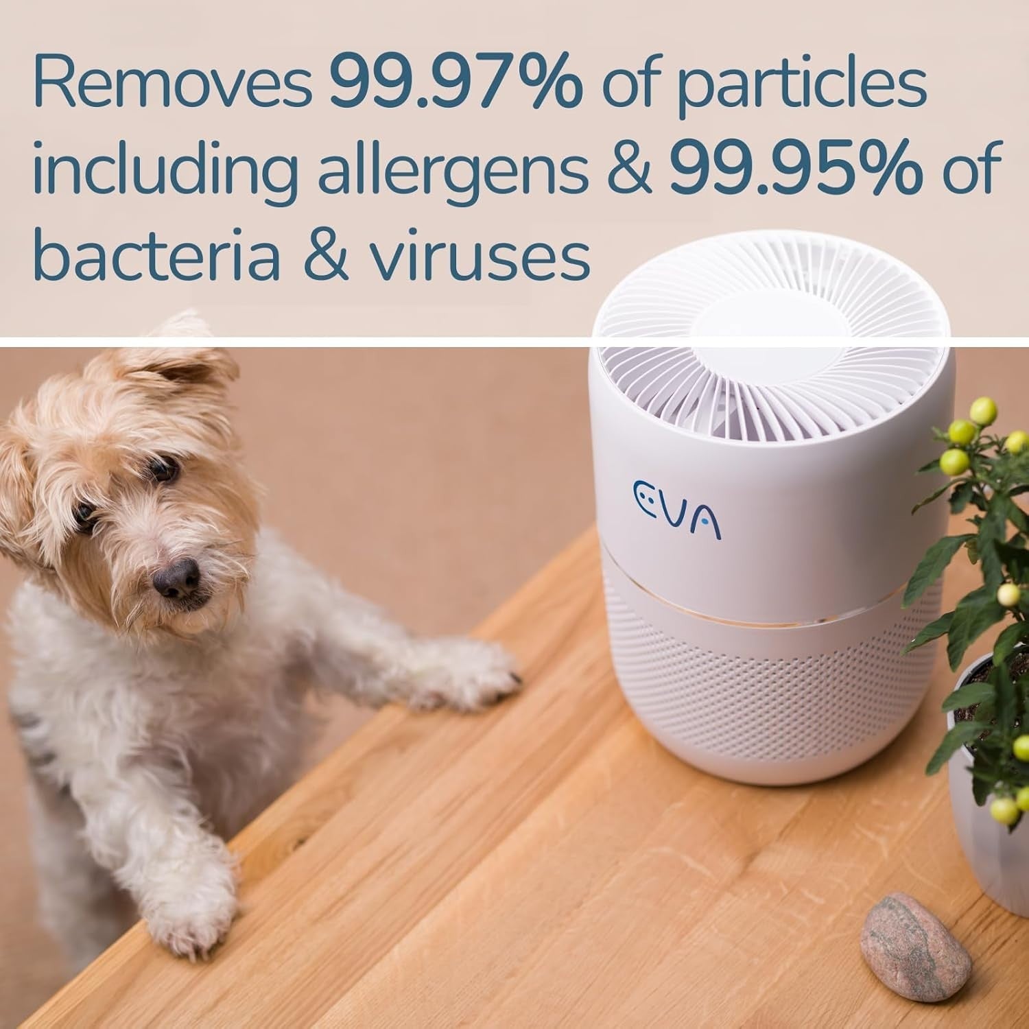 Ultra Quiet HEPA Air Purifier 16dB Large Room 36m² Allergy Odour