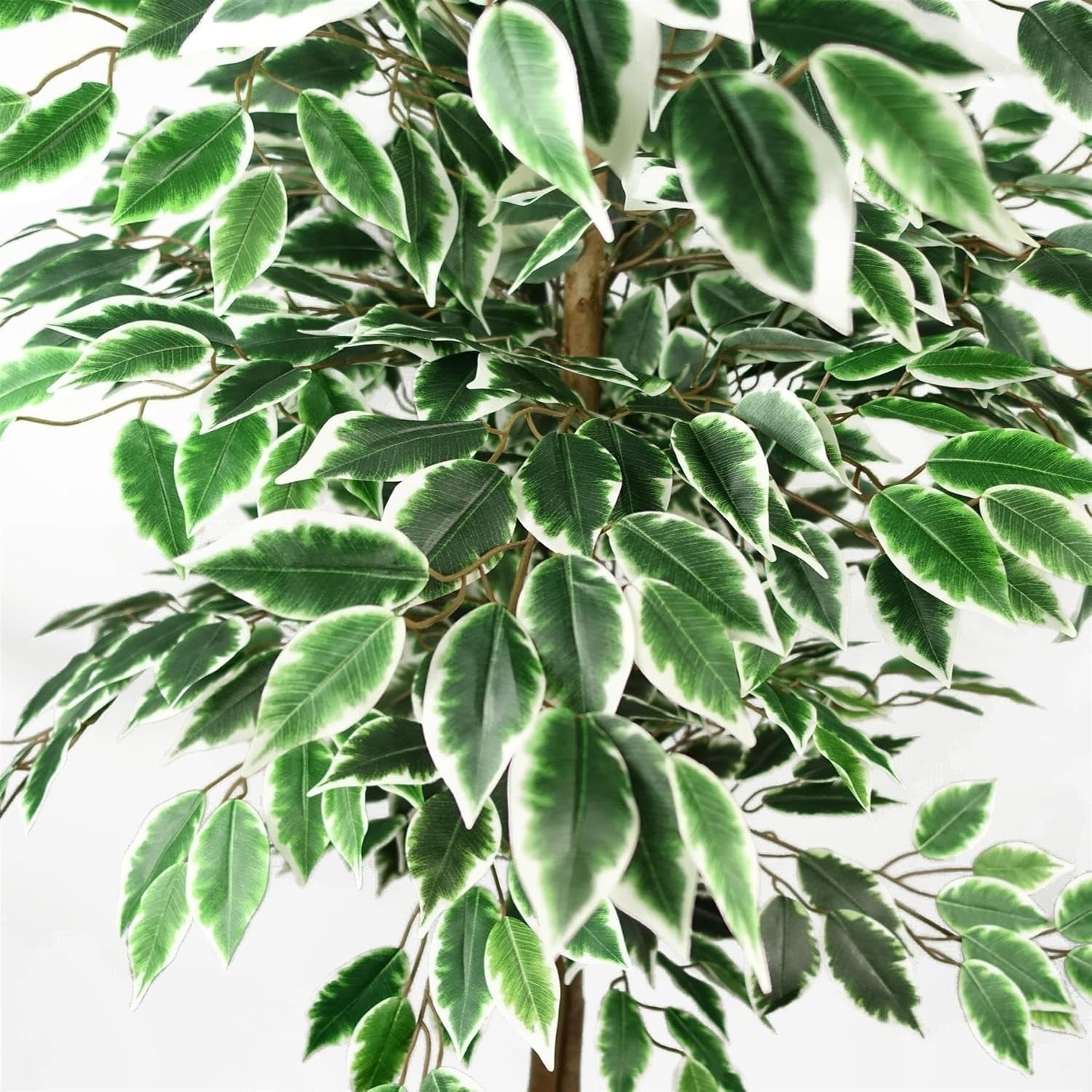 150cm Artificial Two-Tone Variegated Ficus Tree in Pot Indoor Home Garden Decor