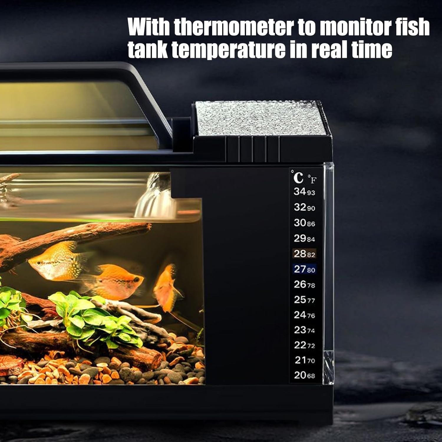 Small LED Fish Tank with Quiet Pump & Self-Cleaning | Desktop Aquarium