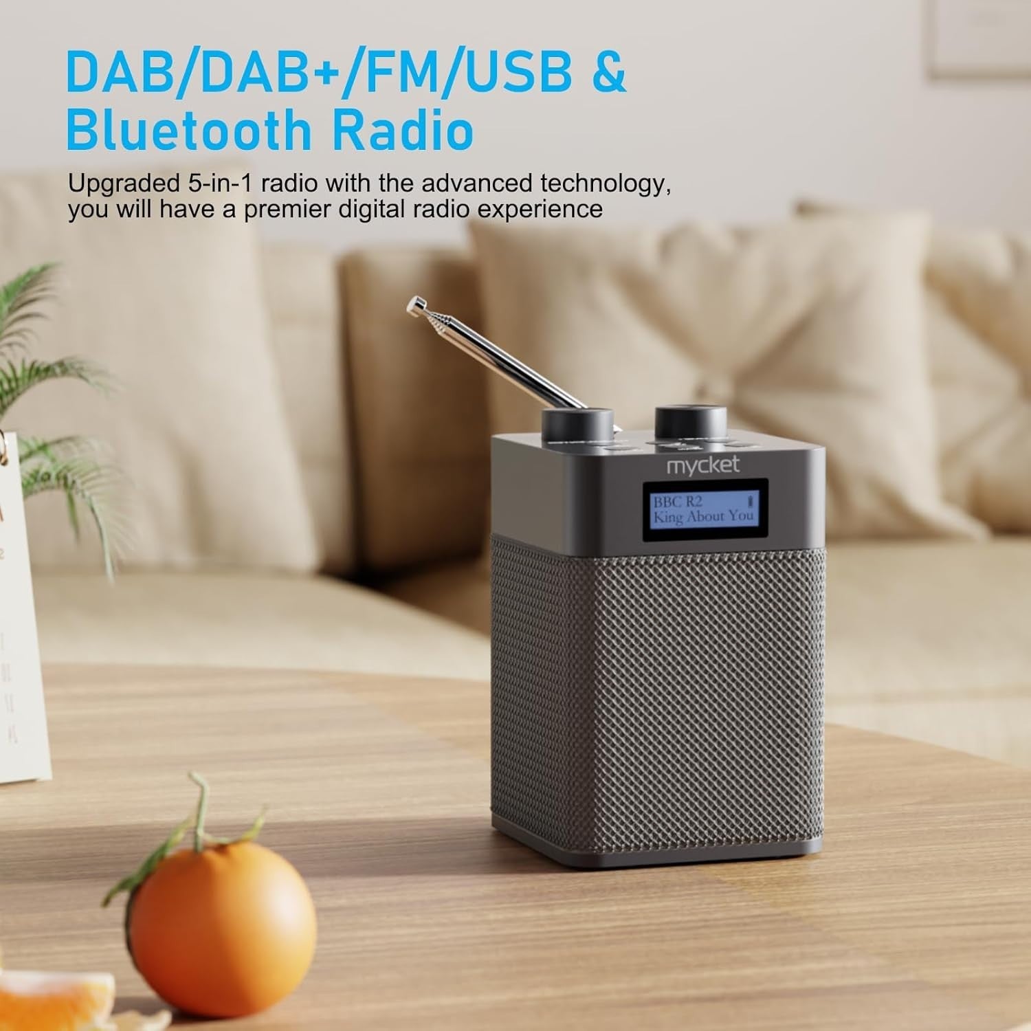 Portable DAB+ FM Radio Bluetooth USB Rechargeable 80 Presets