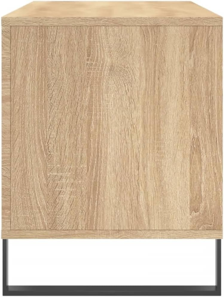 Modern Engineered Wood Record Cabinet with Iron Feet – Spacious Storage