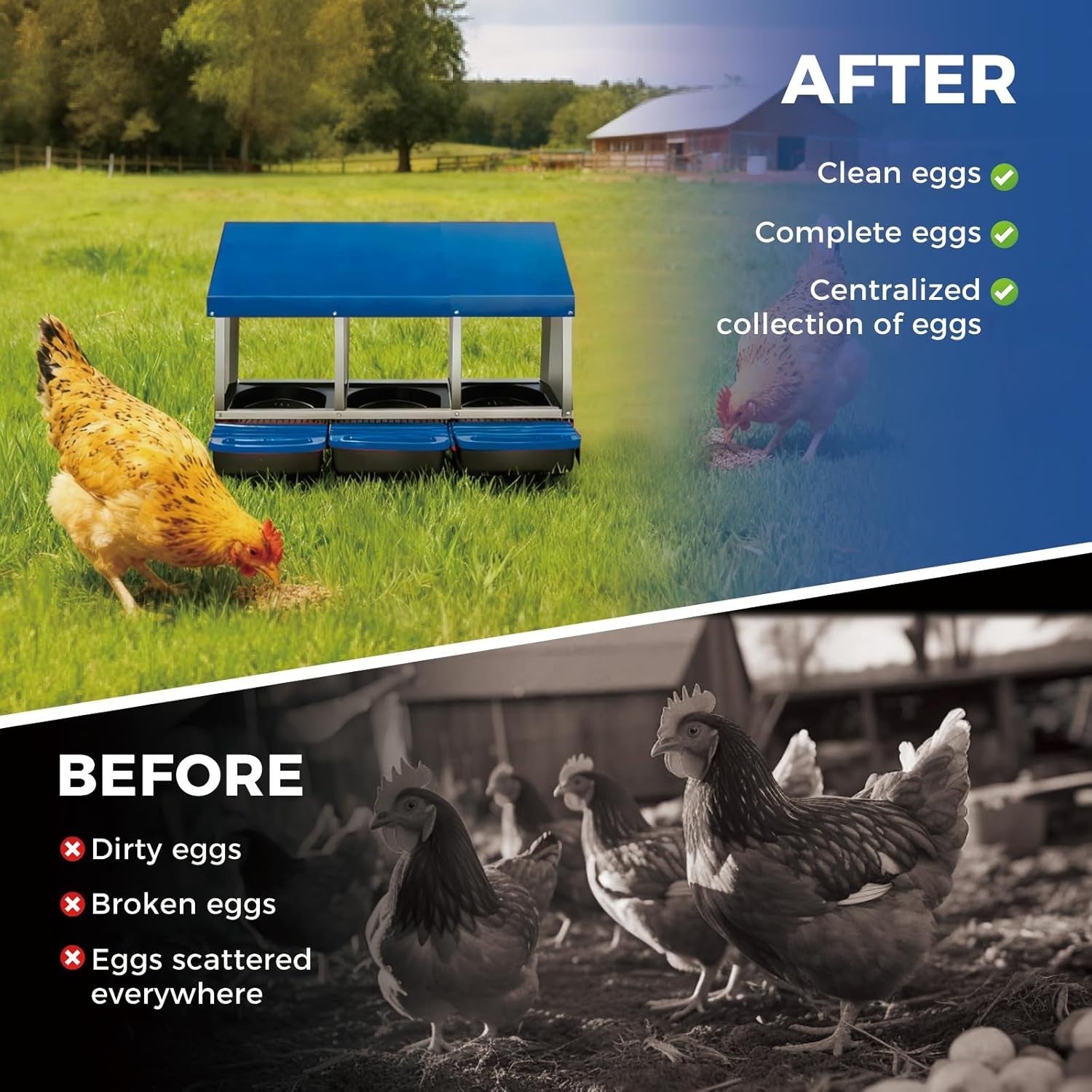 3 Chamber Galvanised Steel Chicken Nest Box Pull Out Tray