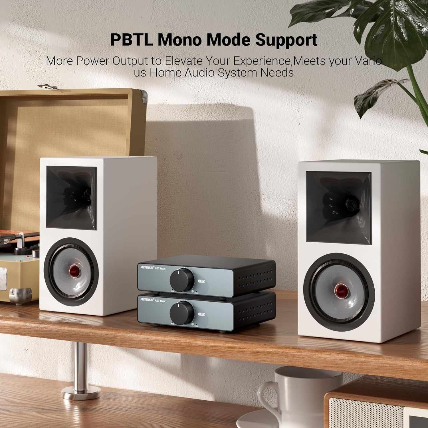 300W x2 Stereo Amplifier Class D Mini HiFi TPA3255 Bridgeable