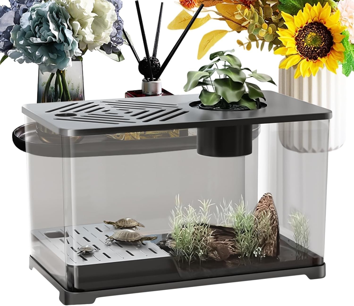 Large Desktop Aquarium for Betta, Turtle Sunbathing & Shrimp Tank