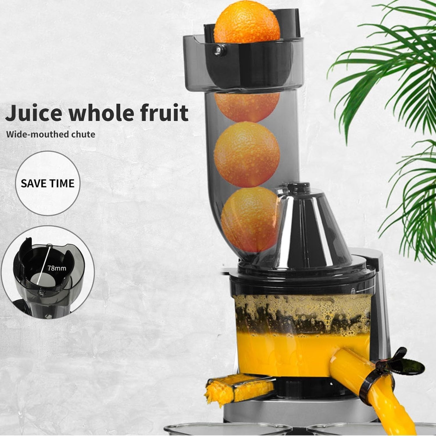 Cold Press Juicer Slow Masticating Quiet Motor Reverse Easy Clean 200W