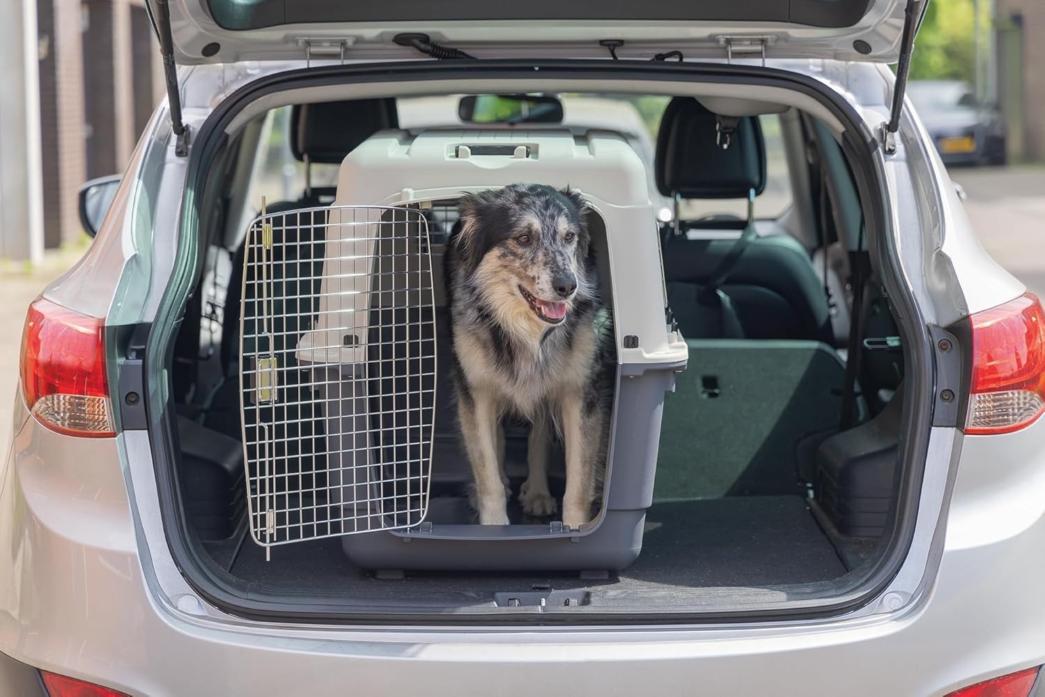 Lockable Durable Large Dog Travel Crate IATA Approved 91x60x74cm