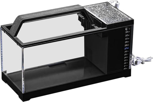 Betta Fish Tank Kit | Small Aquarium with LED Light & Quiet Filter Pump