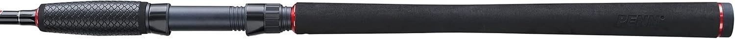 Sea Fishing Spin Rod Reel Combo Carbon 2.44m 20-80g