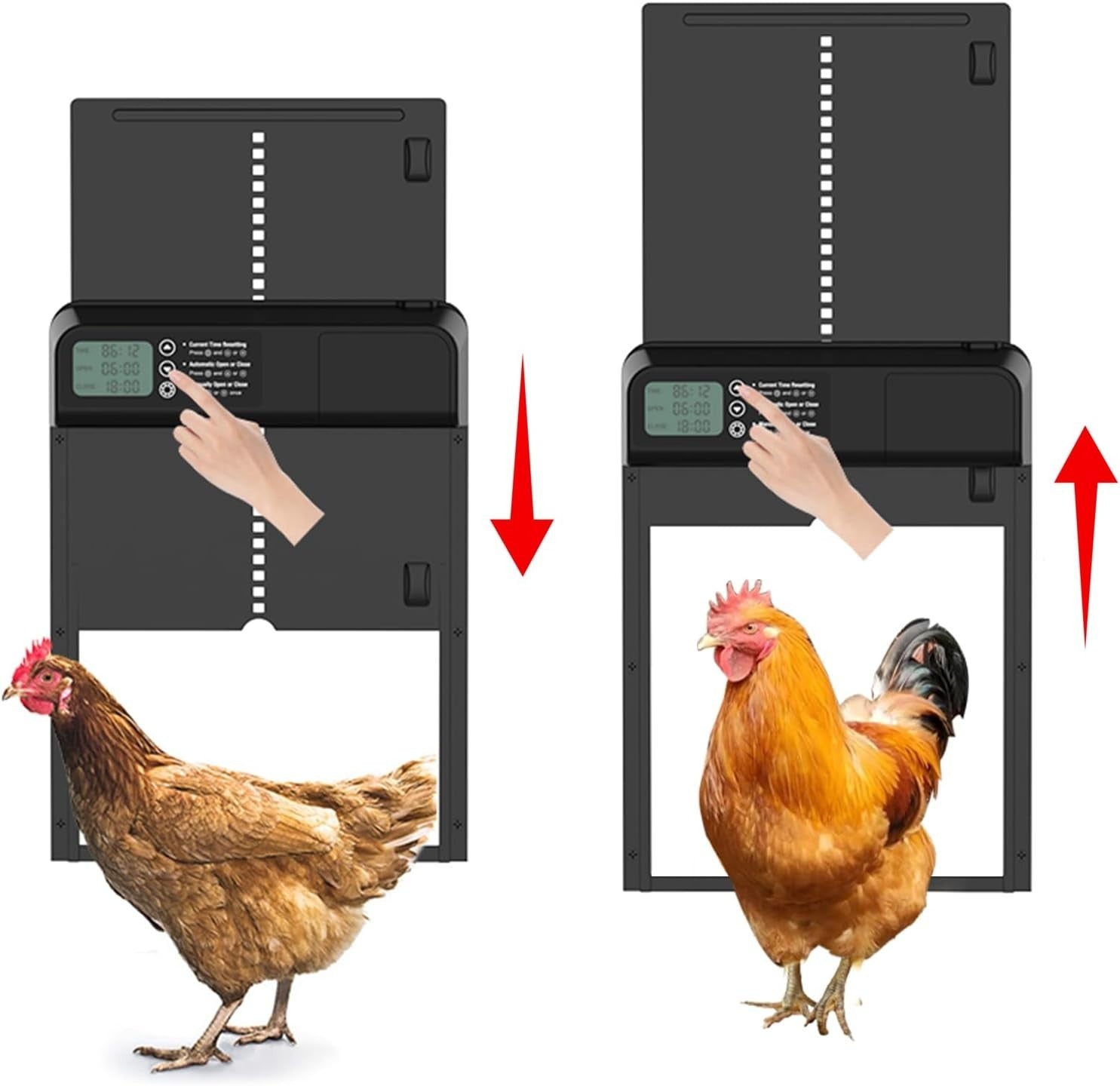 Automatic Chicken Coop Door Large Aluminium Timer LCD Anti Pinch