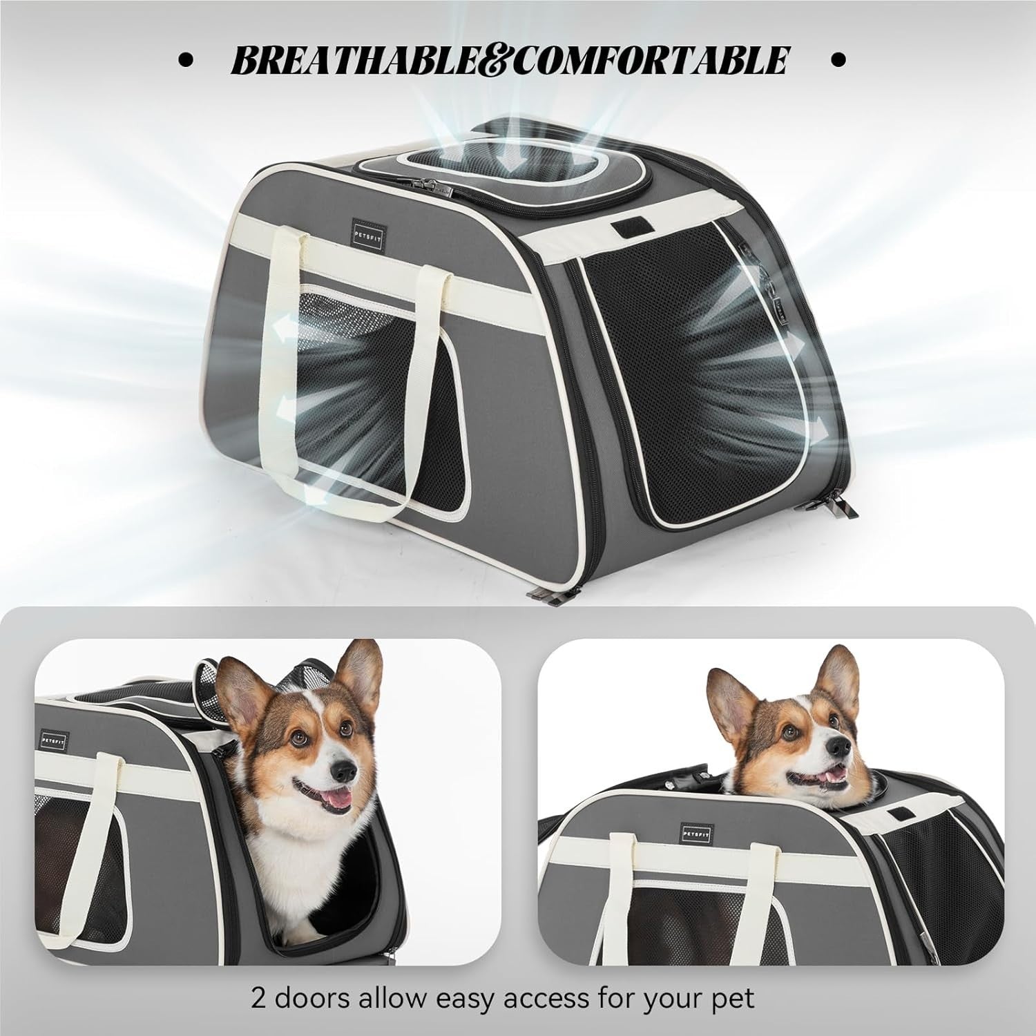 Rolling Pet Carrier with Wheels for Small Dogs & Cats, Portable Travel