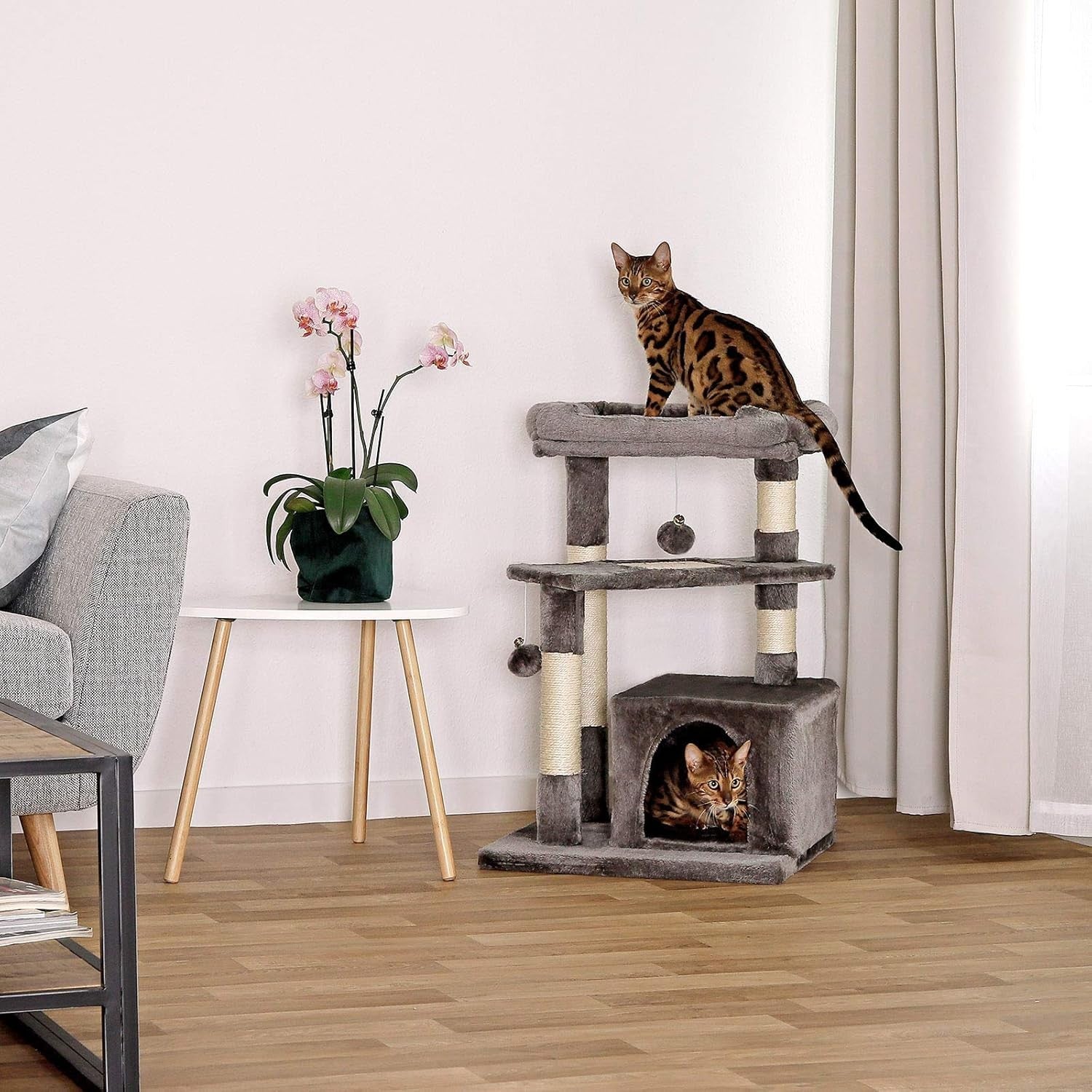 Cat Tree 75cm with Condo Scratching Posts Sisal Rope Plush Beds for Cats