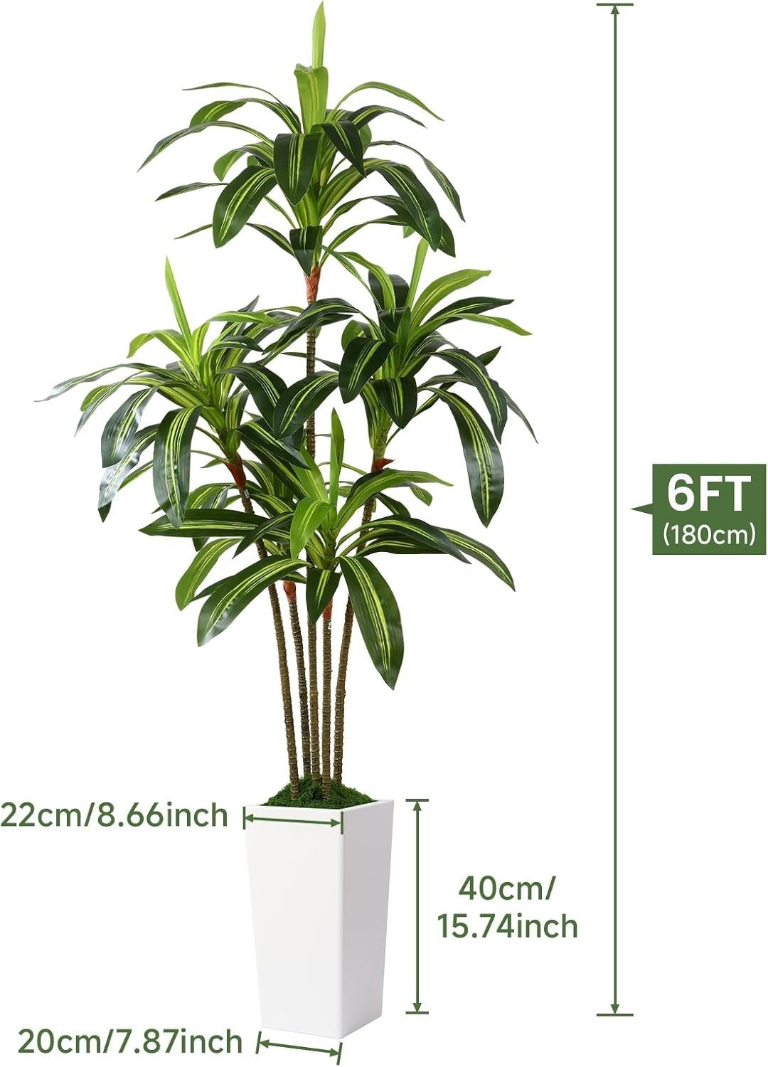 6FT Artificial Dracaena Tree with Tall White Pot Faux Indoor Outdoor Home Decor