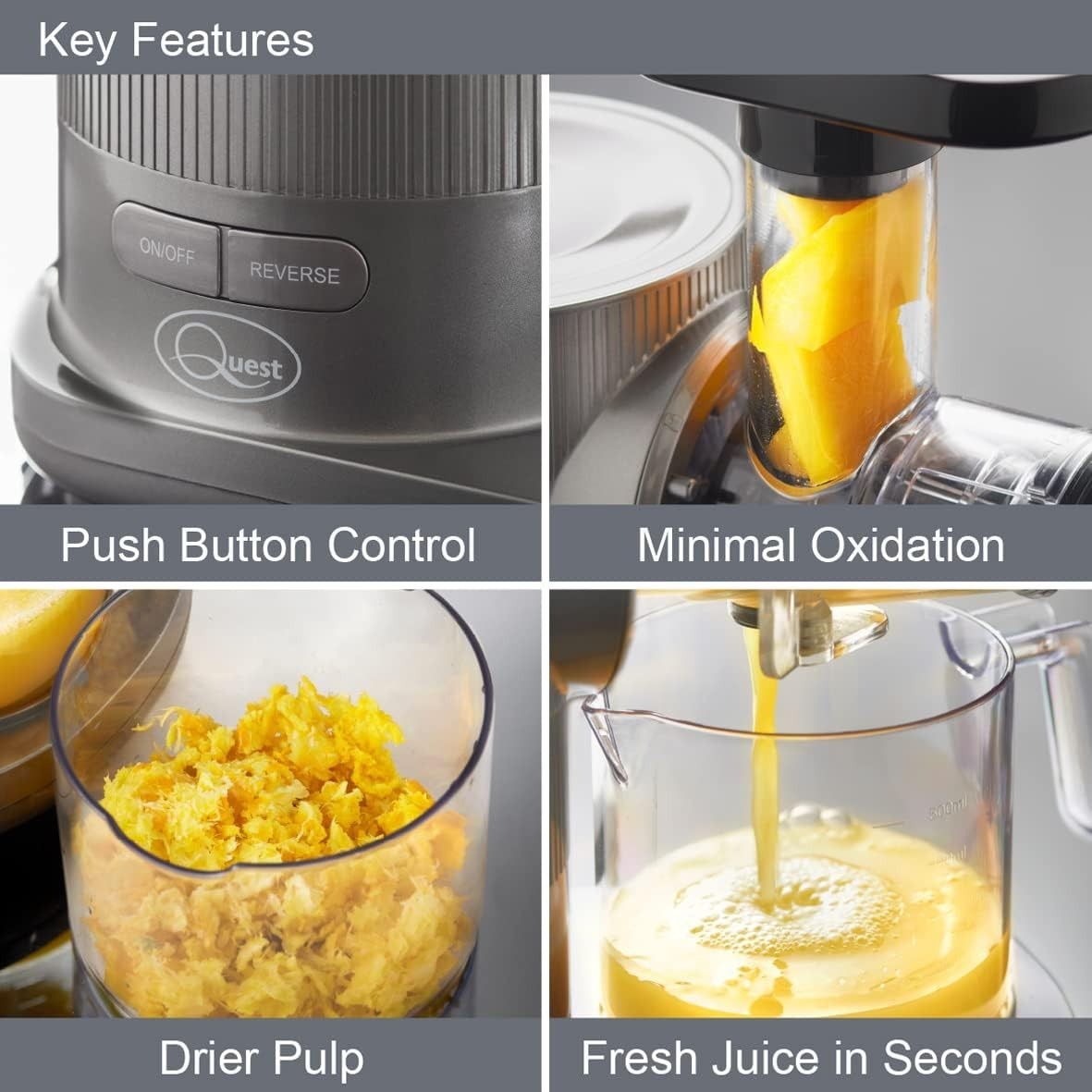 Quiet Cold Press Slow Juicer Masticating 150W High Nutrition Low Noise