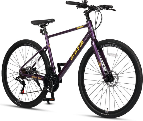 700C Road Bike Lightweight Aluminum Frame 21-Speed Shimano Dual Disc Brake