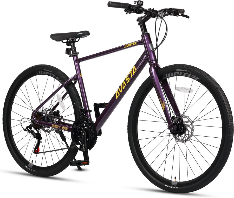 700C Road Bike Lightweight Aluminum Frame 21-Speed Shimano Dual Disc Brake