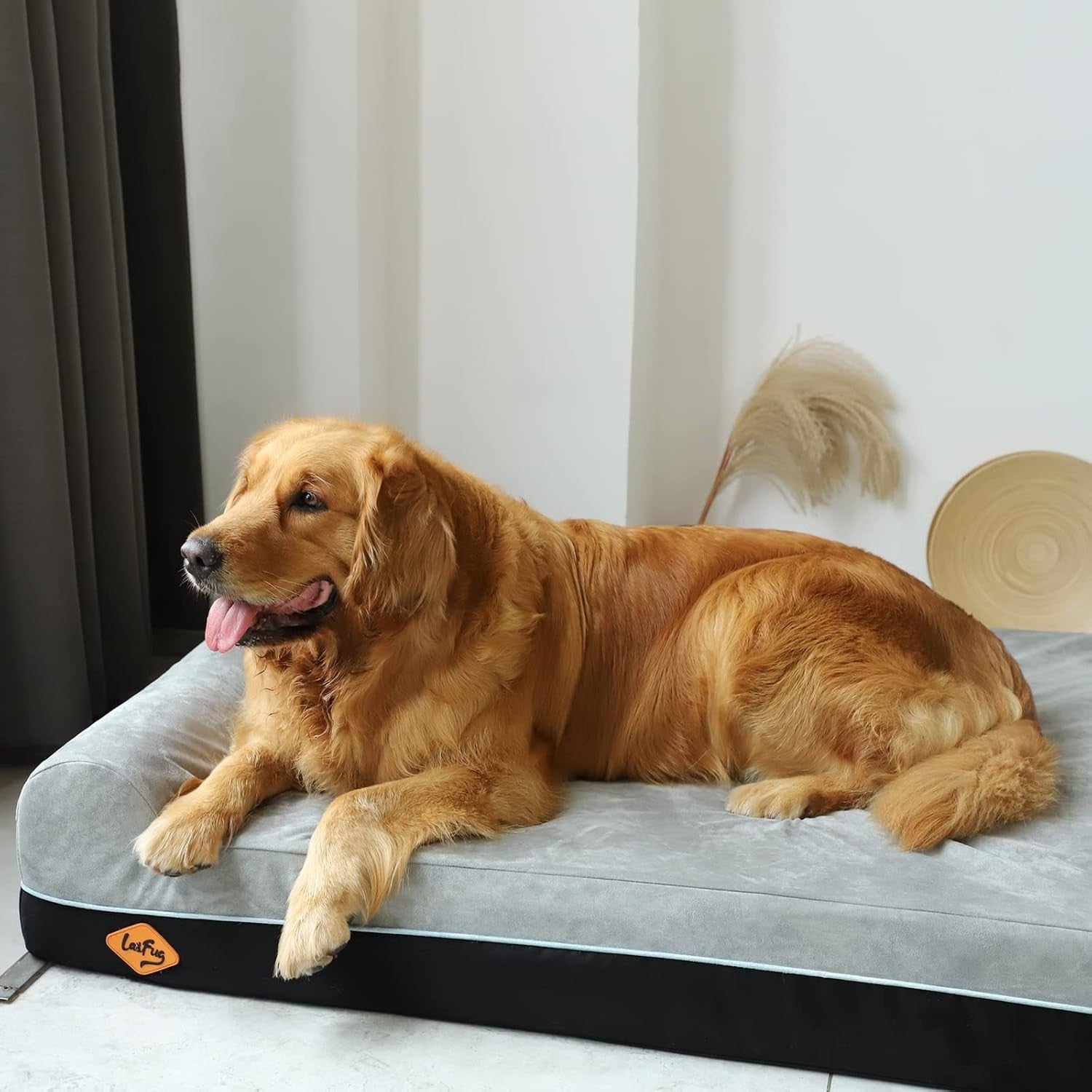 XL Orthopedic Memory Foam Dog Bed 50x36x10in Washable Grey