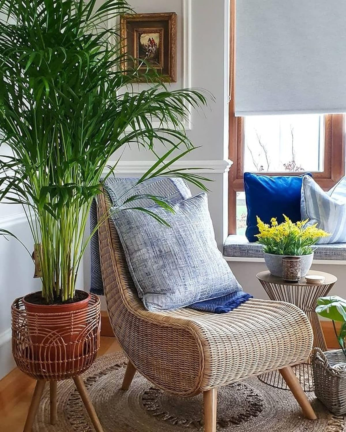 Rattan Wicker Reading Chair Indoor Natural Cane Lounge Armchair