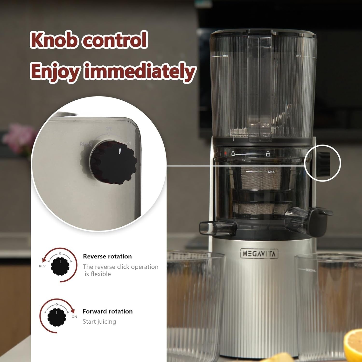 Cold Press Juicer 200W Whole Fruit Slow Masticating High Yield Silver Pro