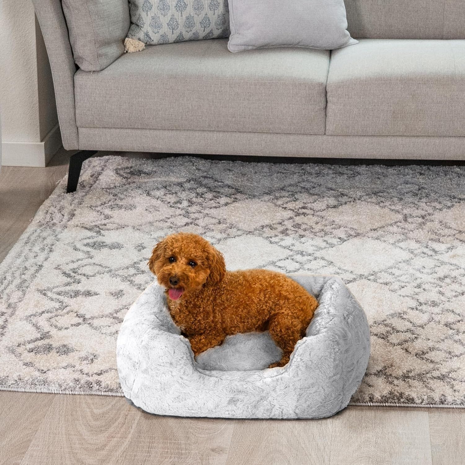 Small Orthopedic Memory Foam Dog Bed 20x15in Washable