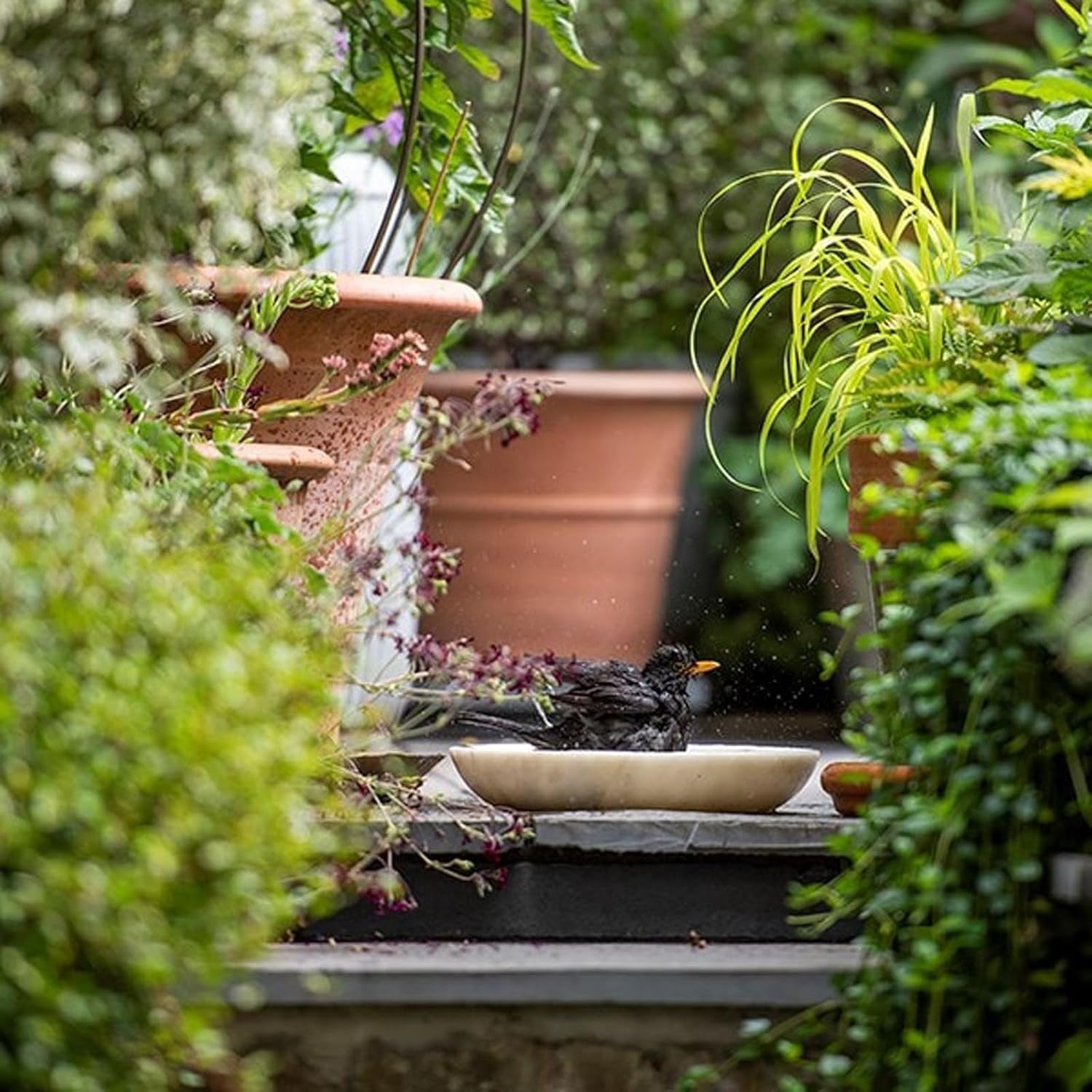 30cm White Marble Bird Bath Bowl – Garden Wildlife Oasis for Birds & Bees