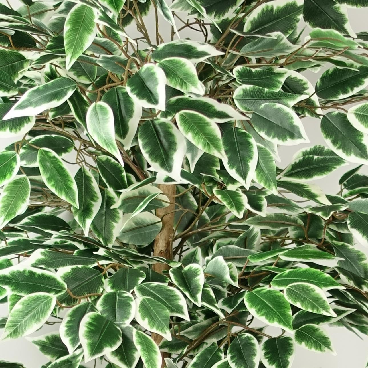 150cm Artificial Two-Tone Variegated Ficus Tree in Pot Indoor Home Garden Decor