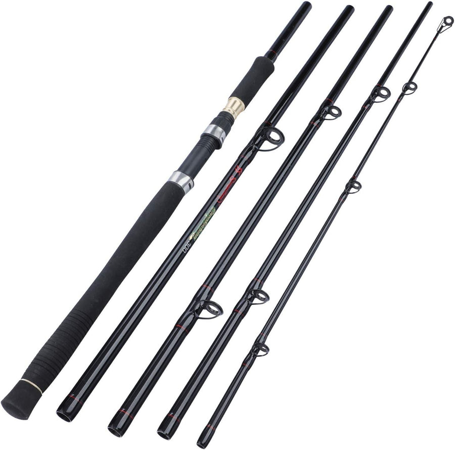 3m 5-Section Carbon Fiber Carp Rod | Portable Travel Spinning Fishing Gear