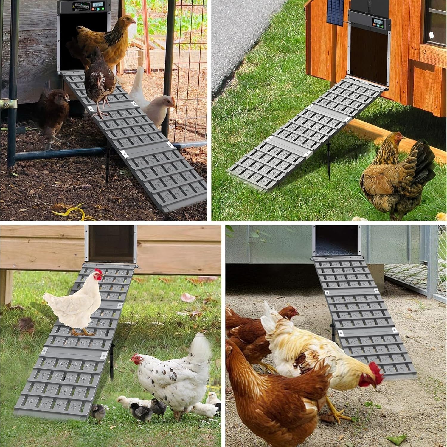 Adjustable Chicken Coop Ramp Ladder Non Slip Waterproof