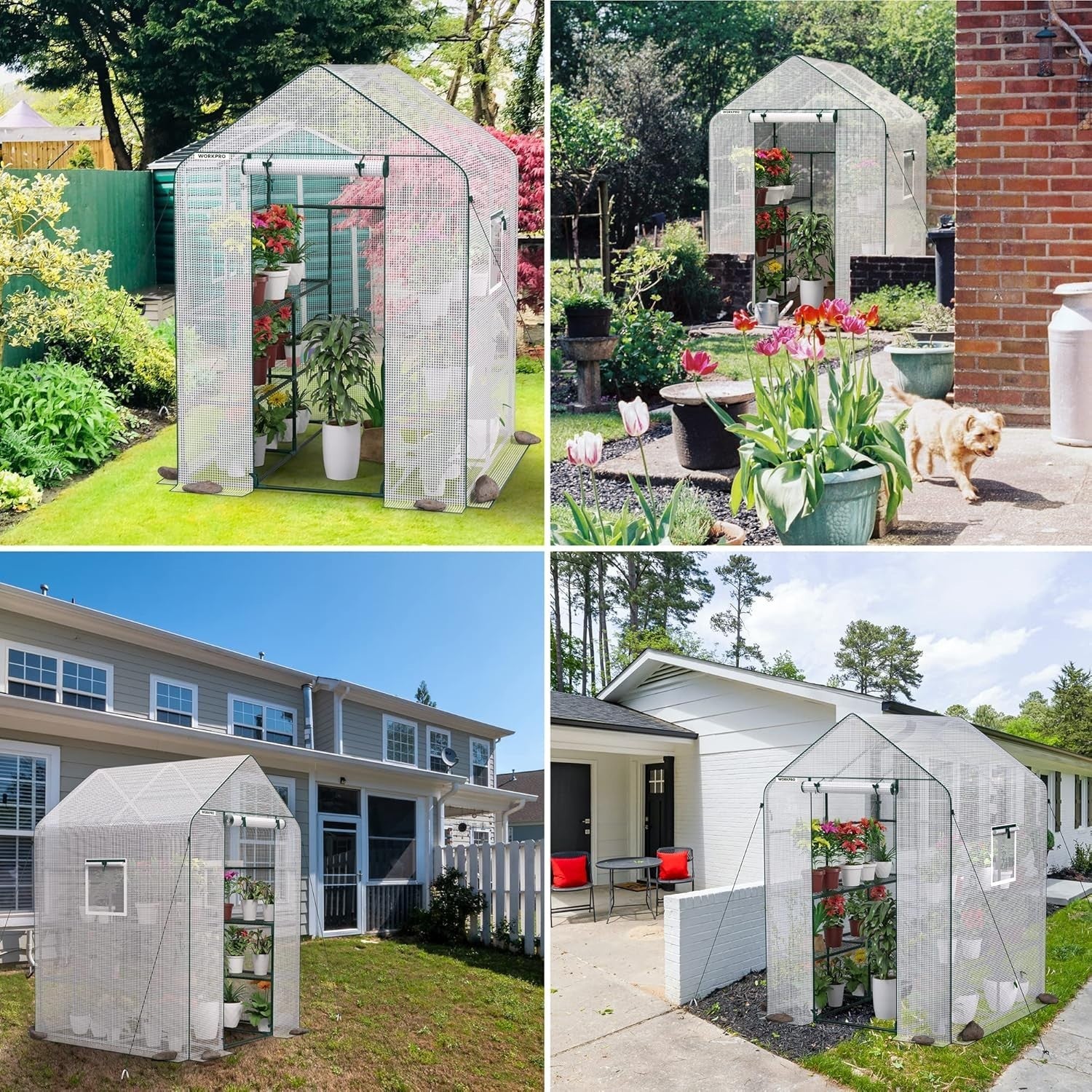 Large Walk-In Greenhouse 8 Shelves | Waterproof PE Cover | Roll-Up Door