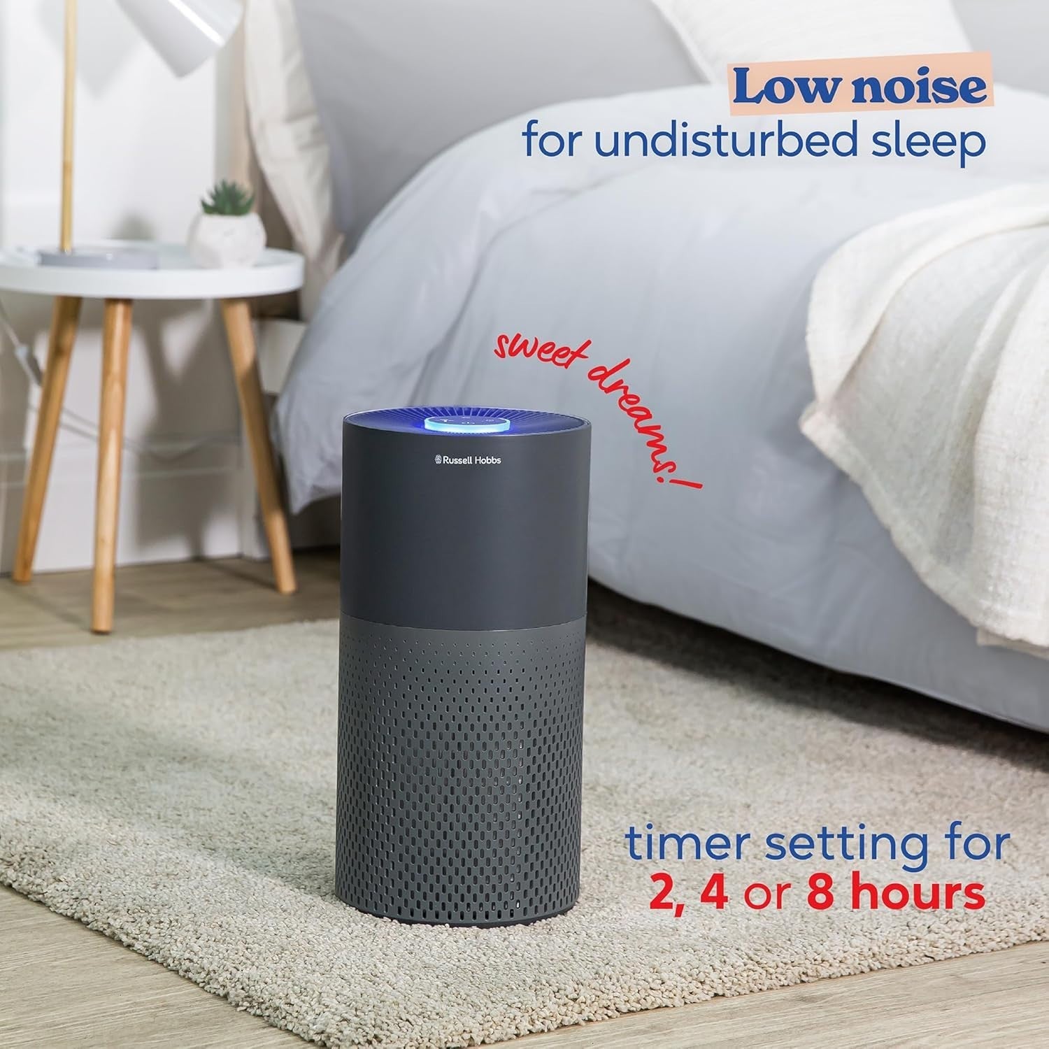 Ozone Free Compact Air Purifier HEPA Allergy Dust Smoke Quiet 14m²