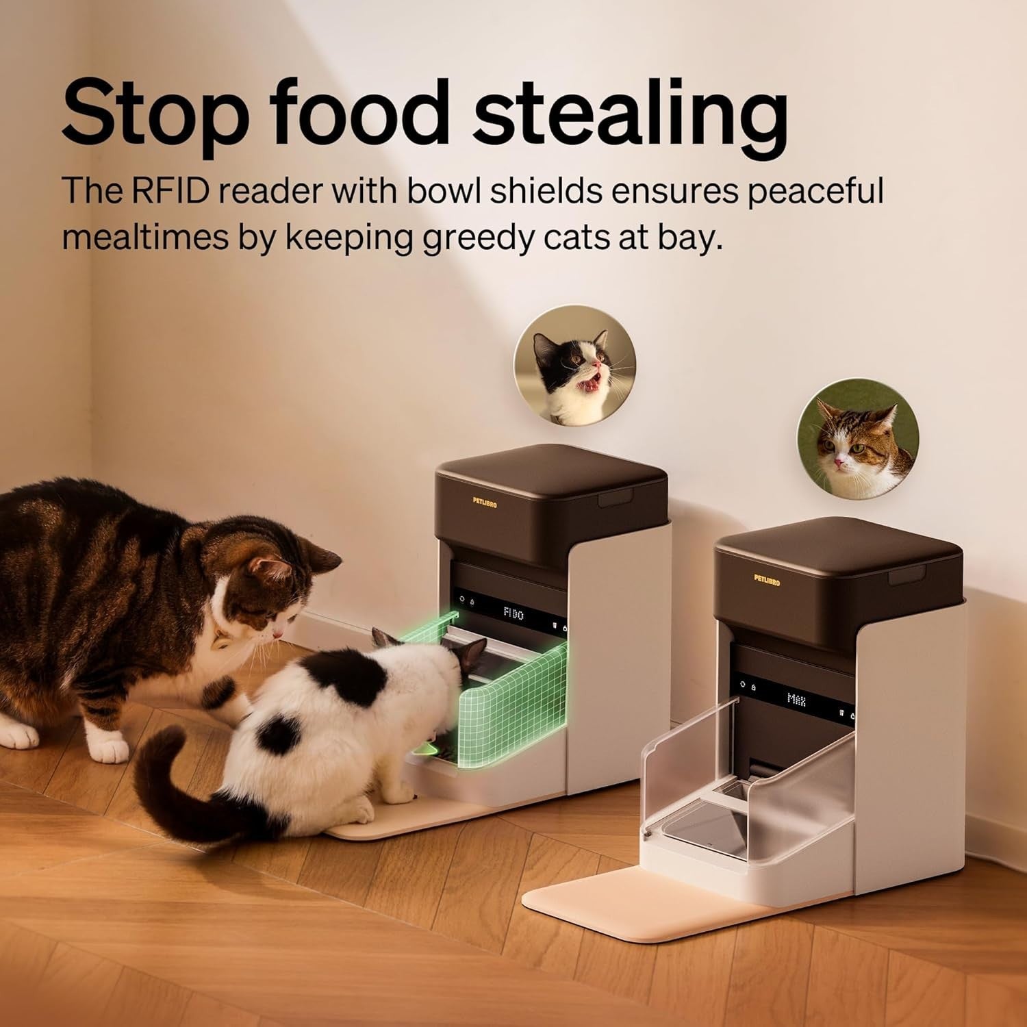 RFID Automatic Cat Feeder WiFi App Control 3L Smart Pet Food Station
