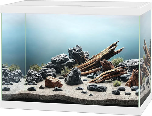 13L White Glass Aquarium with Built-In Filter & Lid – Starter Tank
