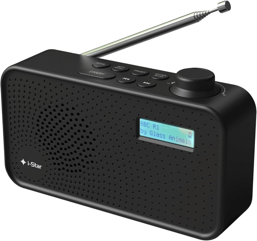 Portable DAB DAB+ FM Radio USB Rechargeable Small Digital Black