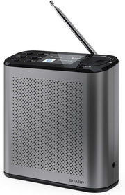 Portable DAB+/FM Digital Radio Bluetooth 5.3 Colour Display USB Storm Grey