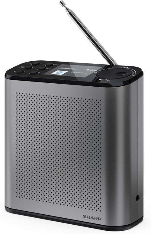 Portable DAB+/FM Digital Radio Bluetooth 5.3 Colour Display USB Storm Grey