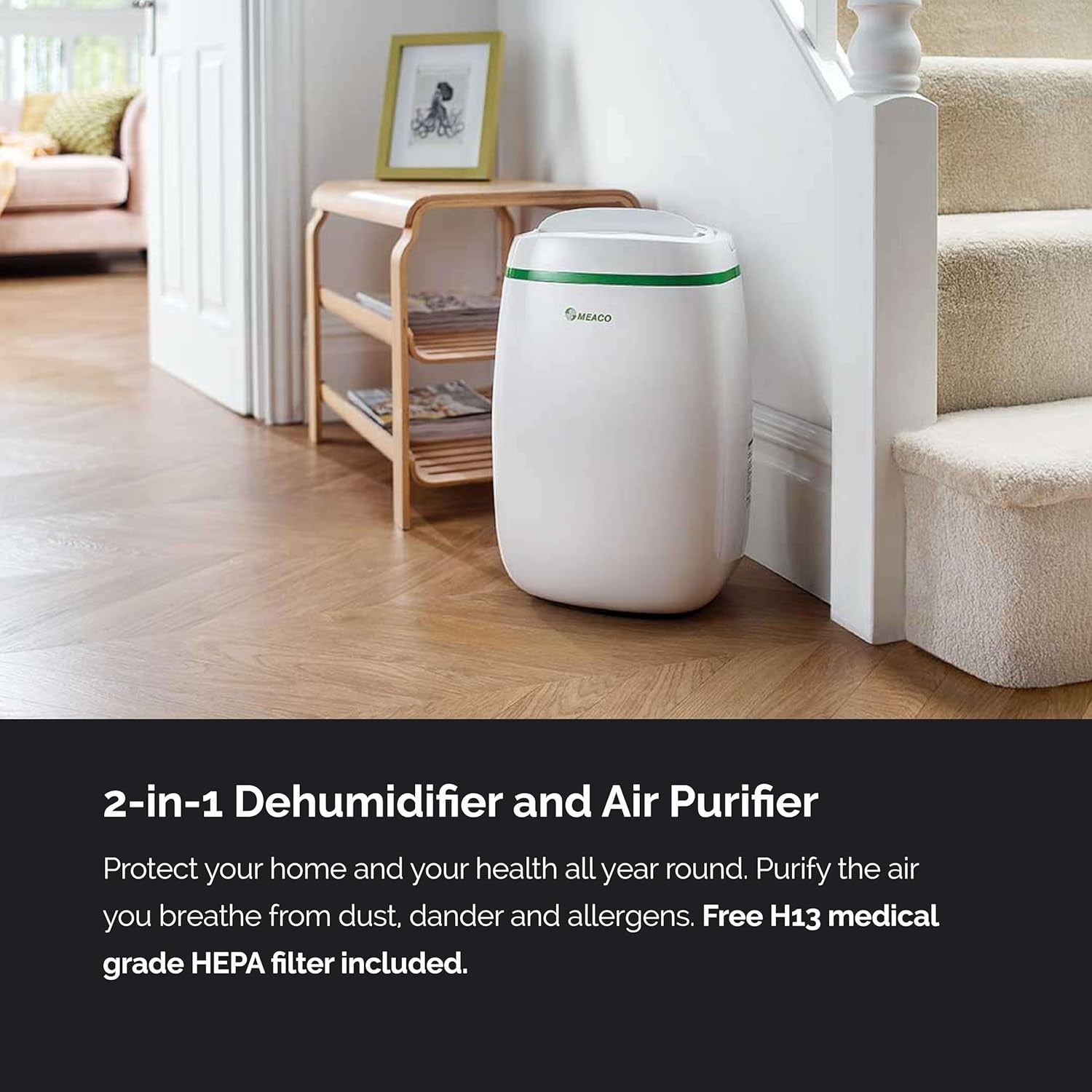 2 in 1 Dehumidifier Air Purifier HEPA Quiet Low Energy Flat Home