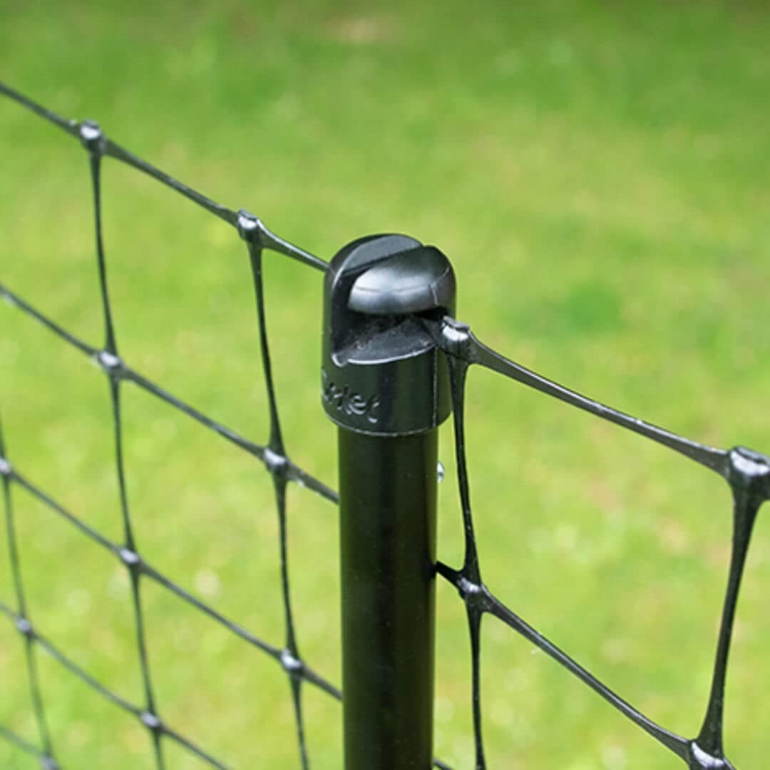21m Extra High Chicken Fencing Poultry Netting w Door