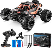 Fast 1:16 RC Truck 4WD 22MPH Off-Road Car Dual Batteries Boys 14+ Gift