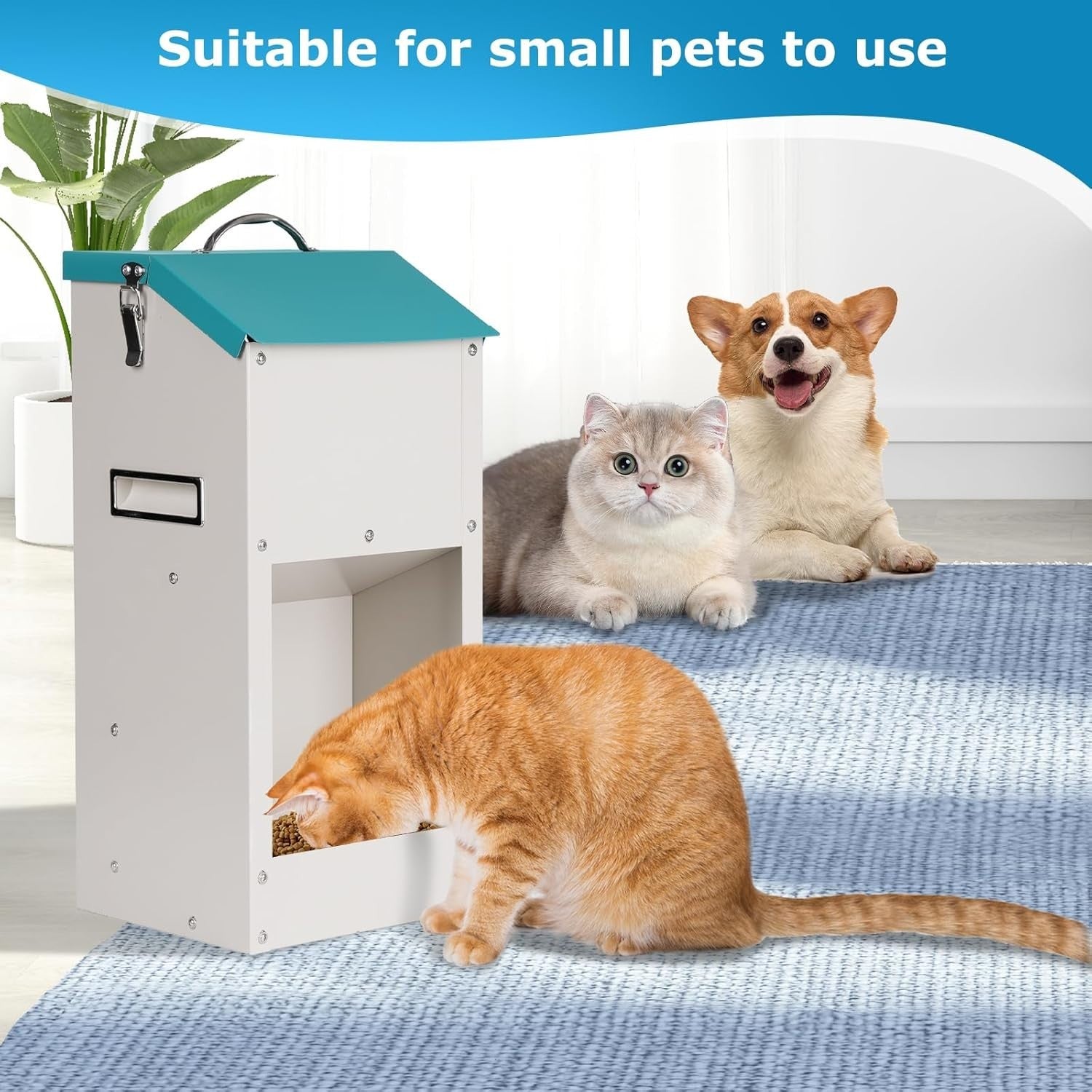 6KG Outdoor Automatic Dog Feeder Galvanized Gravity Pet Food Dispenser