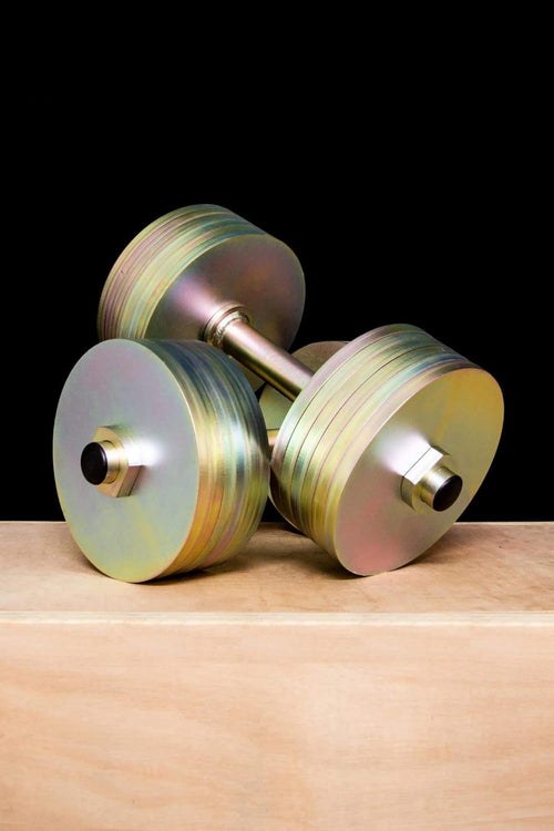 Nickel Adjustable Dumbbells Pair 10kg Free Weights 1in Handles Home Gym