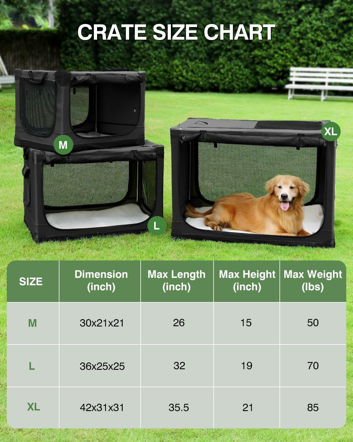 Medium Portable Collapsible Dog Crate Soft Kennel with Mesh Windows & Mat