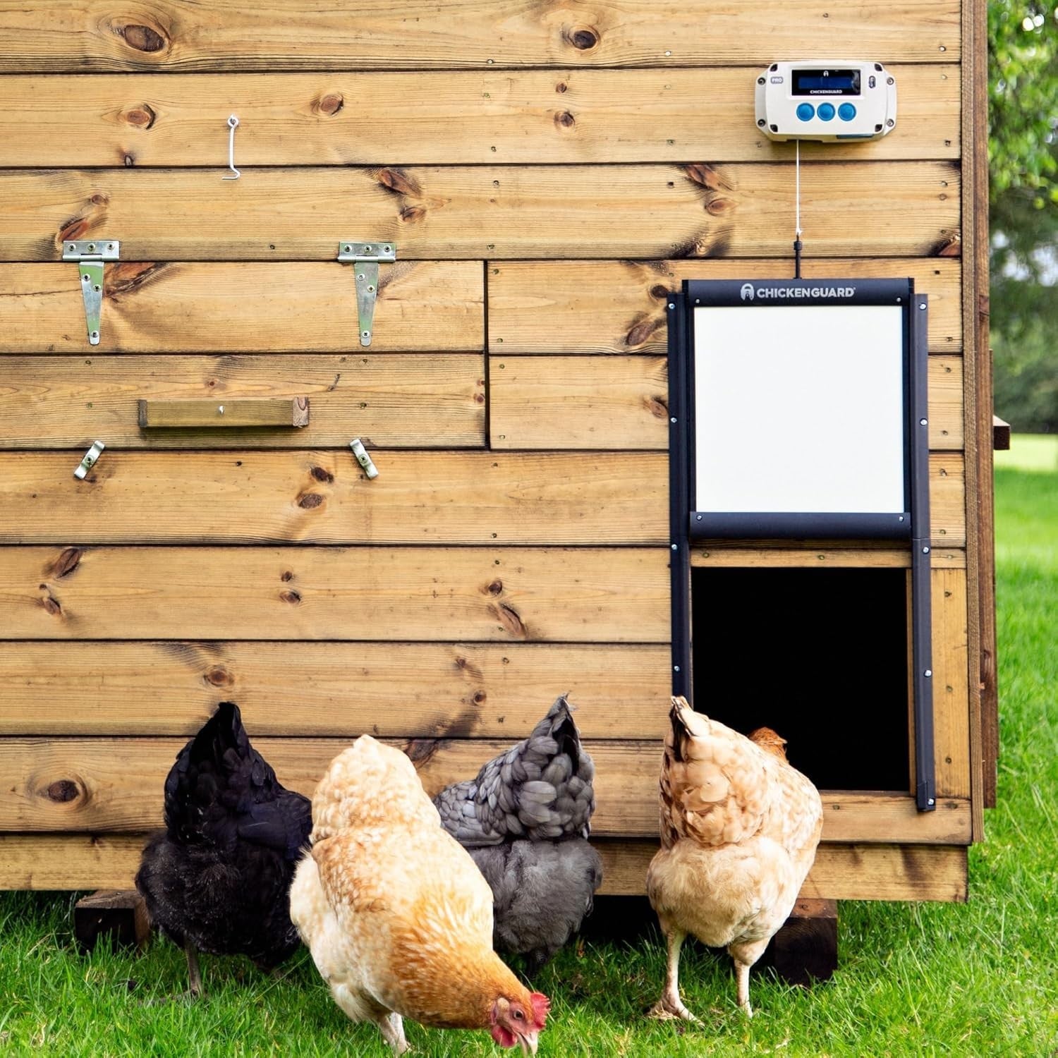 Automatic Chicken Coop Door Opener Kit Solar Battery DC