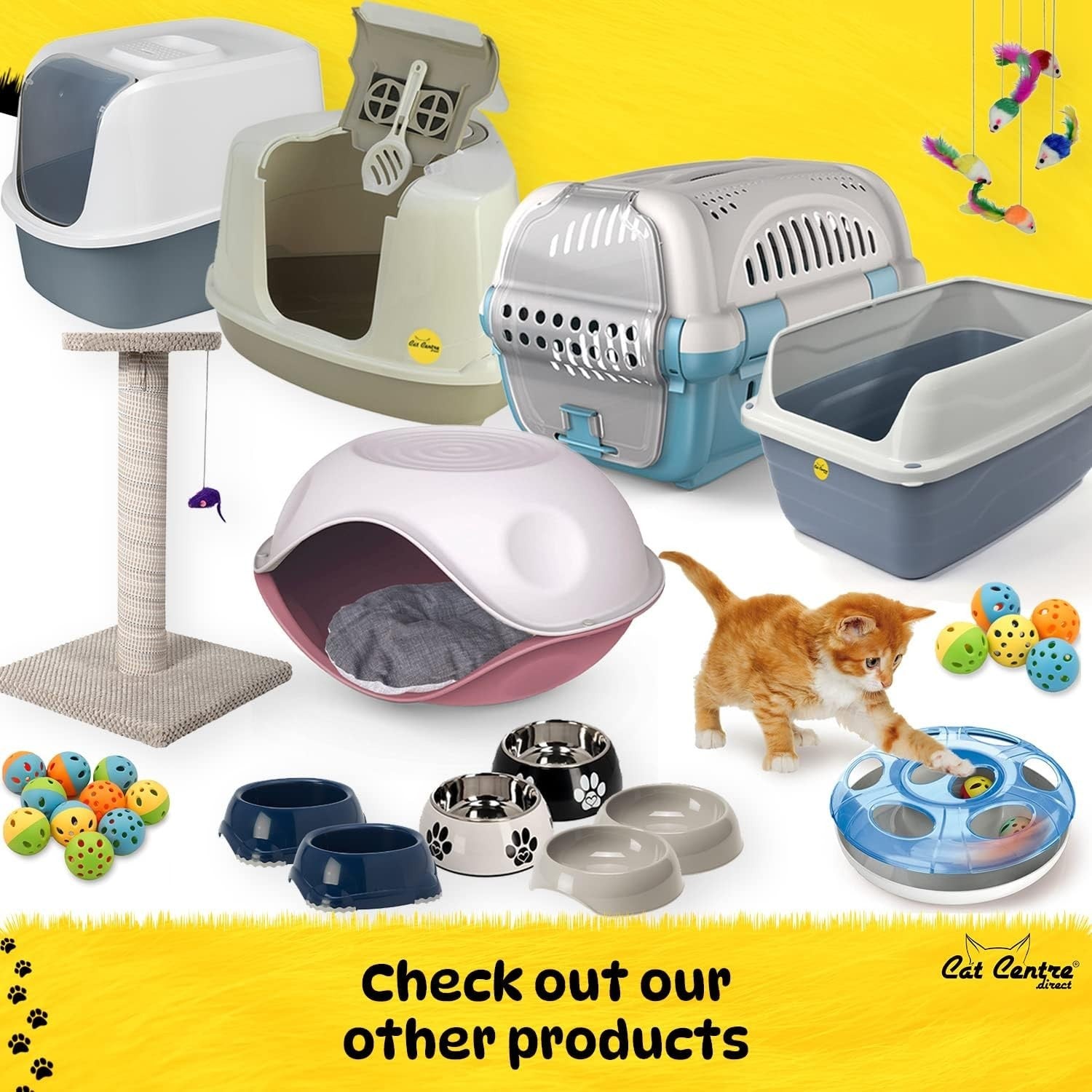 Blue Outdoor Plastic Pet House Bed Waterproof Dog Cat Shelter Cushion