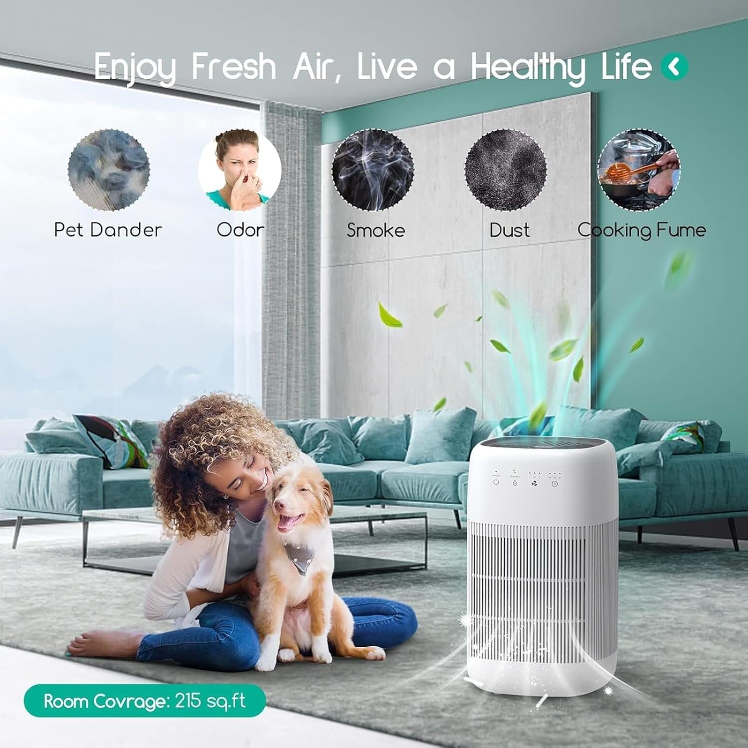 2 in 1 Air Purifier Dehumidifier H13 HEPA Quiet Home Bedroom