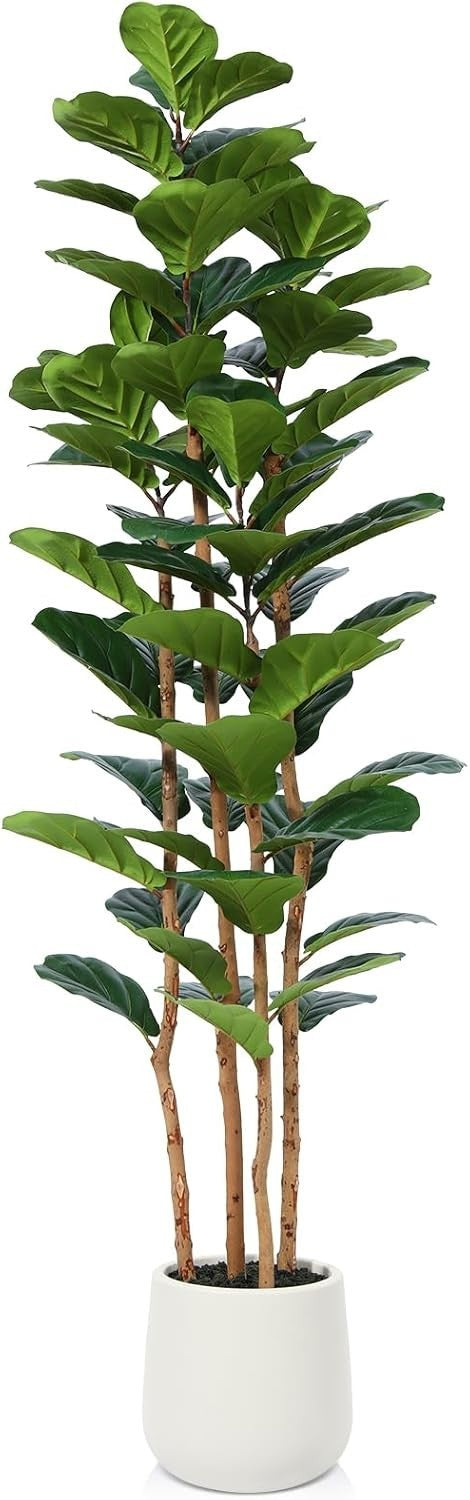 180cm Tall Artificial Fiddle Leaf Fig Tree in White Pot Faux Indoor Plant Decor