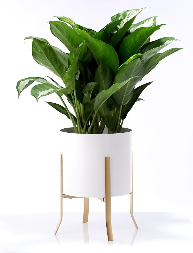 Adjustable Gold Metal Plant Stand Indoor Outdoor Fits 8–12 Inch Flower Pots