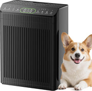 Large Room Air Purifier 2200ft² PM2.5 Display Washable Filter Black