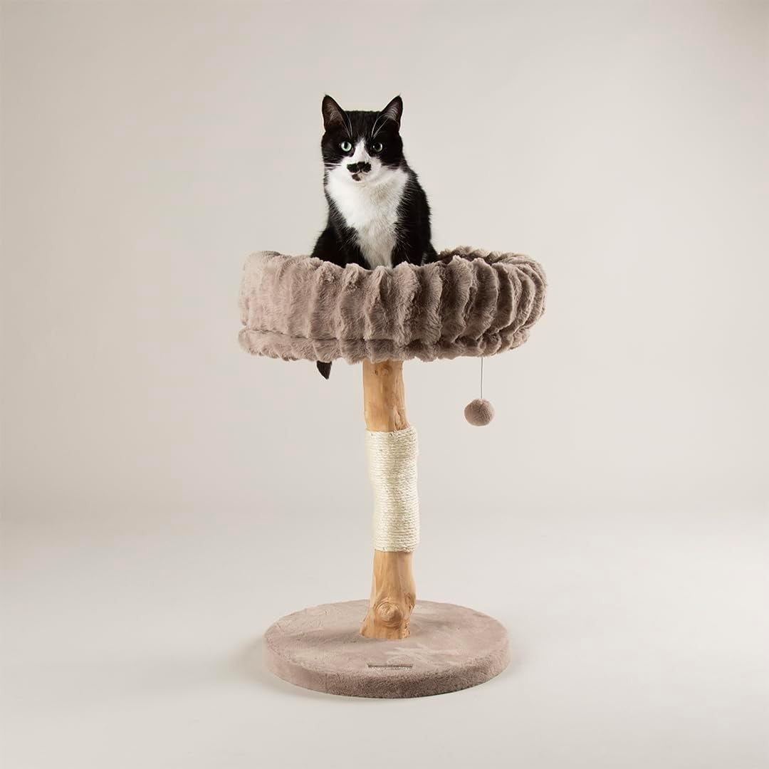 Luxury Cat Scratching Plush Bed Natural Wood Sisal Post Indoor