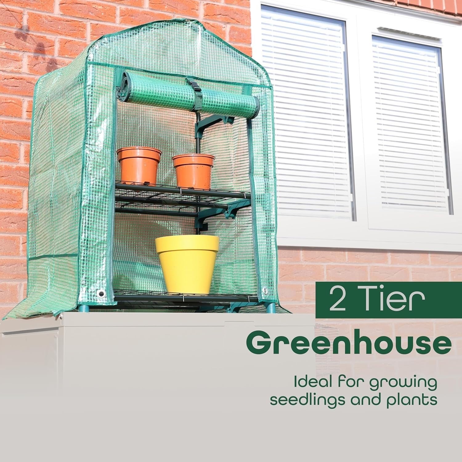 2 Tier Mini Greenhouse with Roll-Up Door | Compact Outdoor Plant Stand
