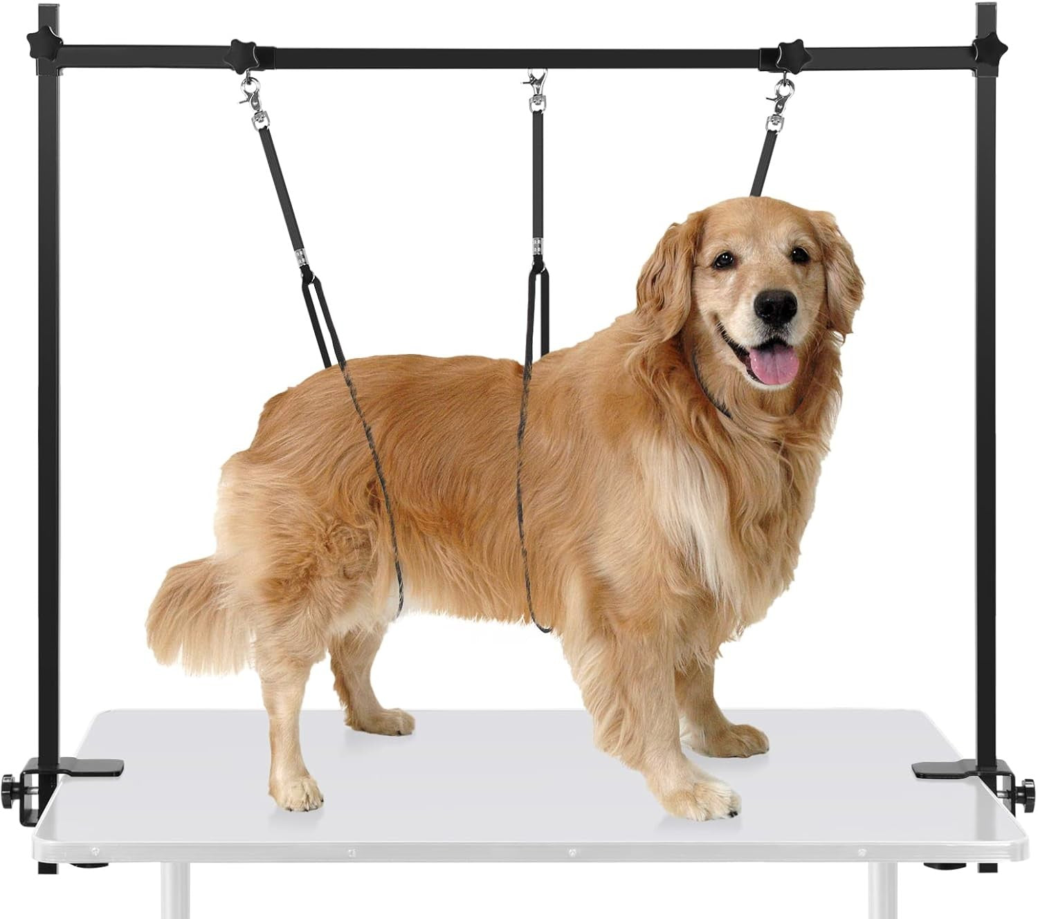 Dog Grooming Arm Clamp Adjustable H Shape Table Arm with Loop Noose