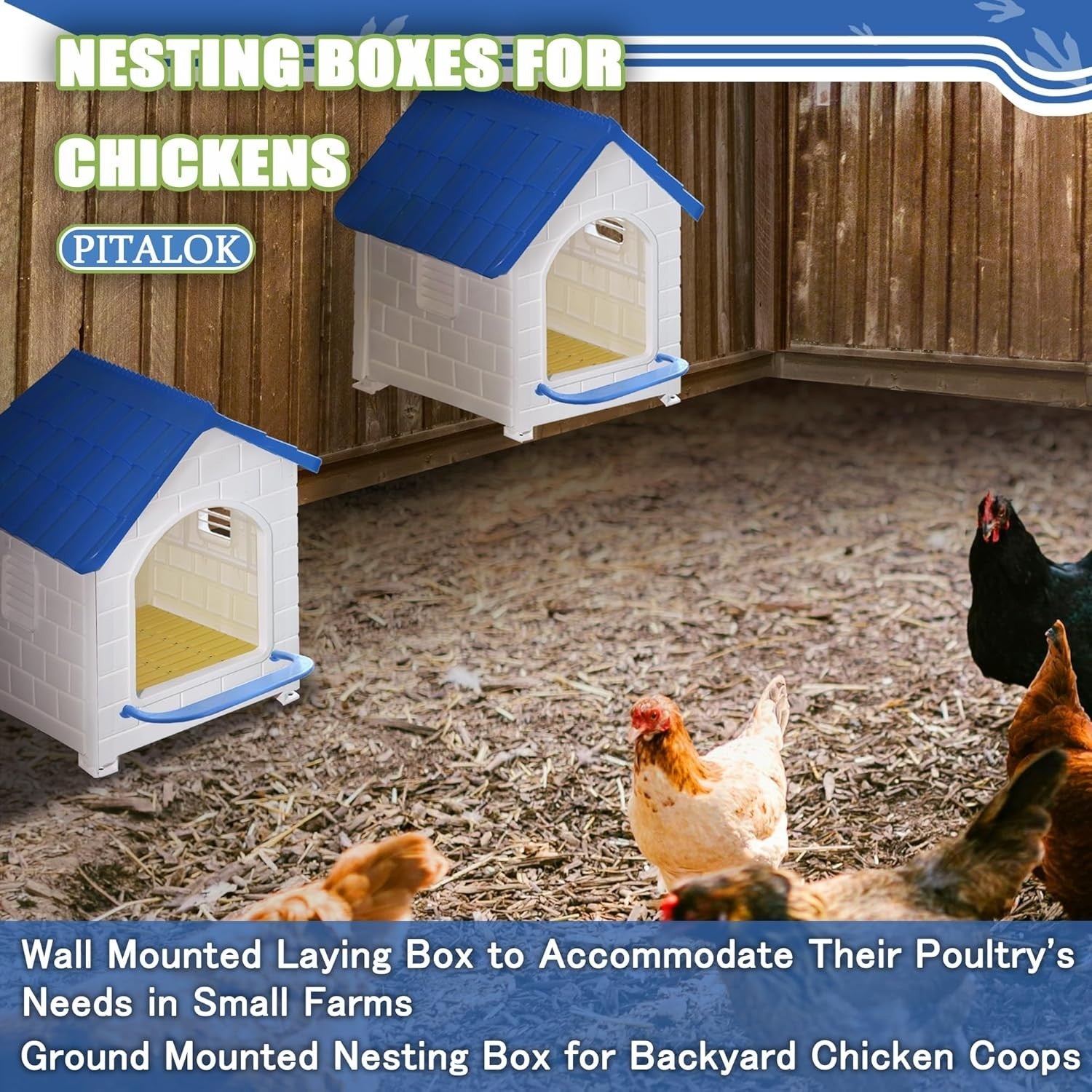 Large Plastic Chicken Nesting Box 1 Pack Easy Clean Wall Mounted